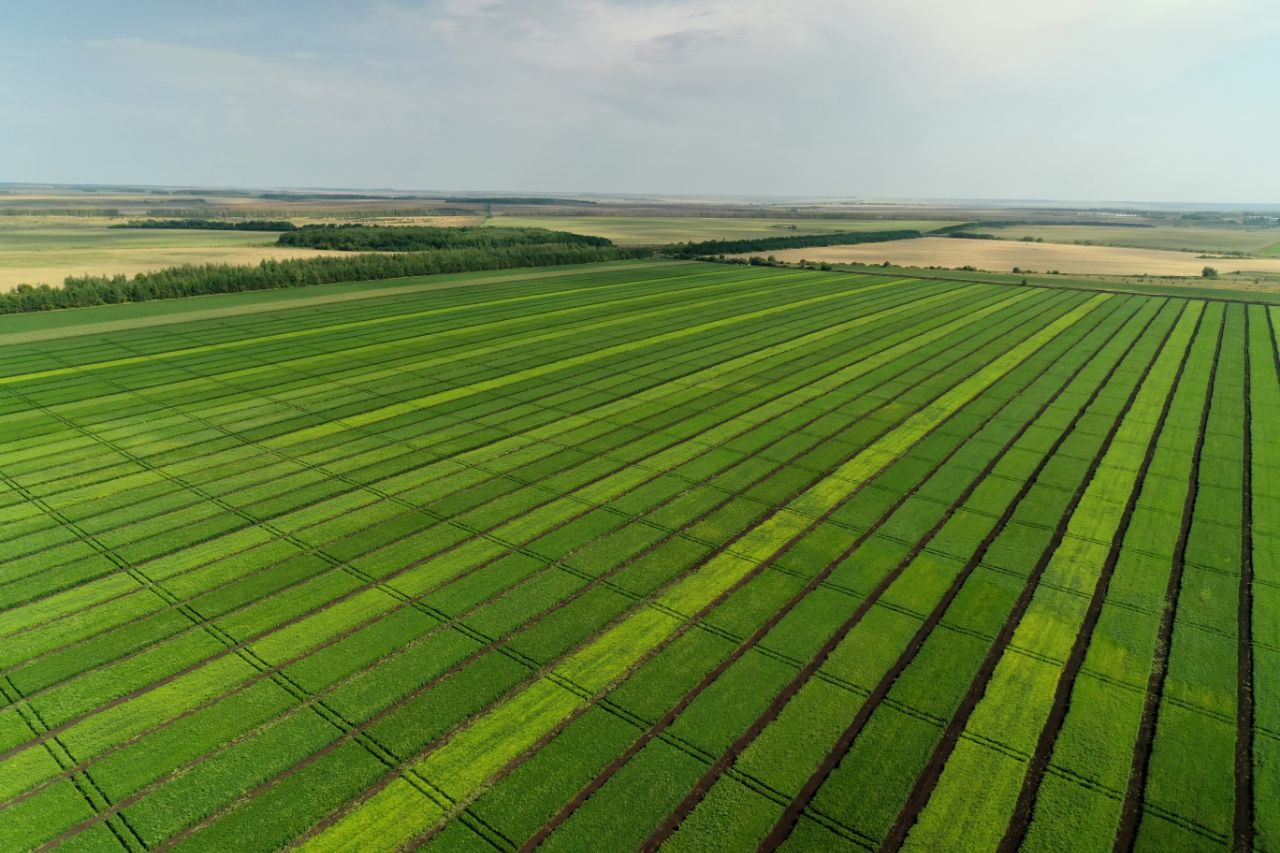 Встреча в Курской области.jpg